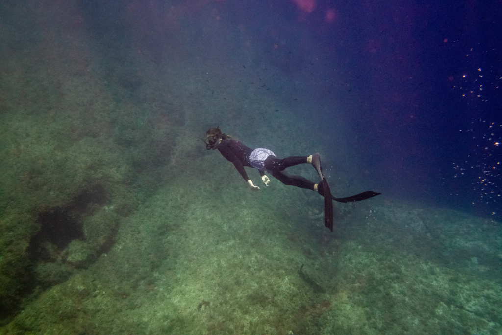 MEDITERRANEAN-SEA-MALTA-UNDERWATER