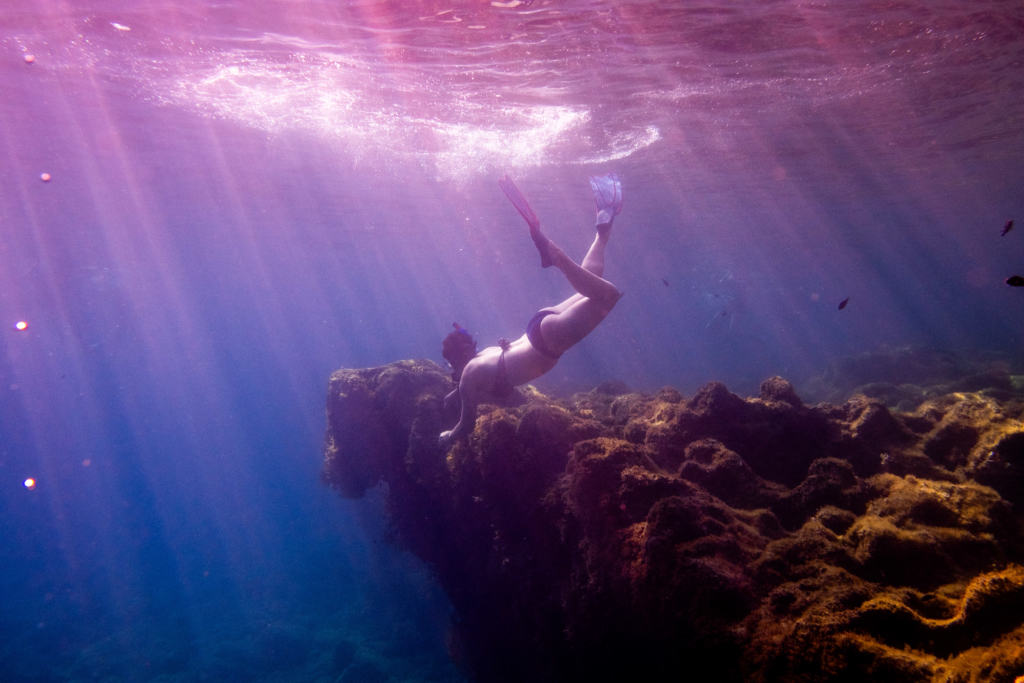 MEDITERRANEAN-SEA-MALTA-UNDERWATER